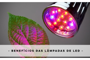 Quão bom são as luzes de LED para cultivar cannabis?