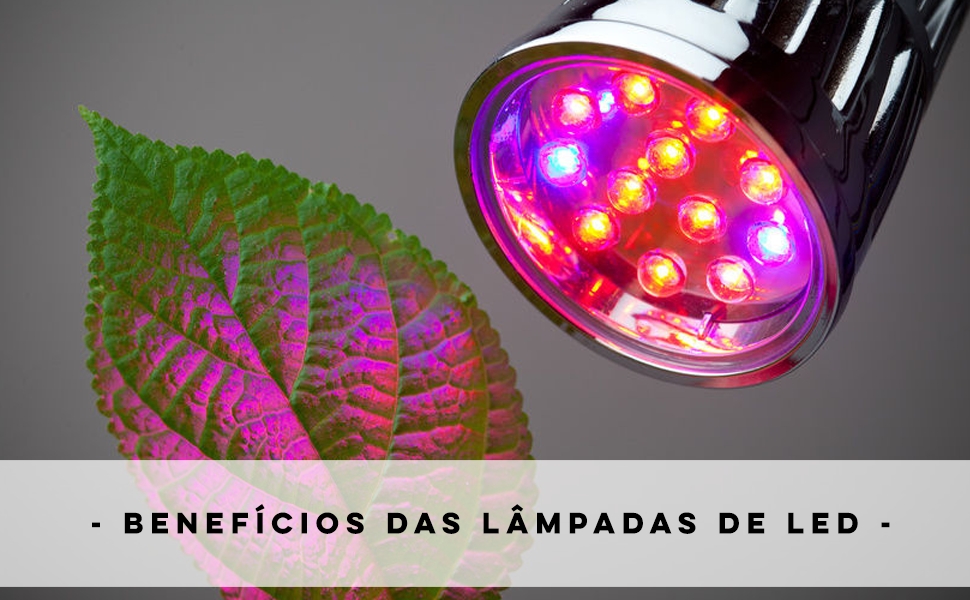 Cultivo Indoor - Benefícios das lâmpadas de LED