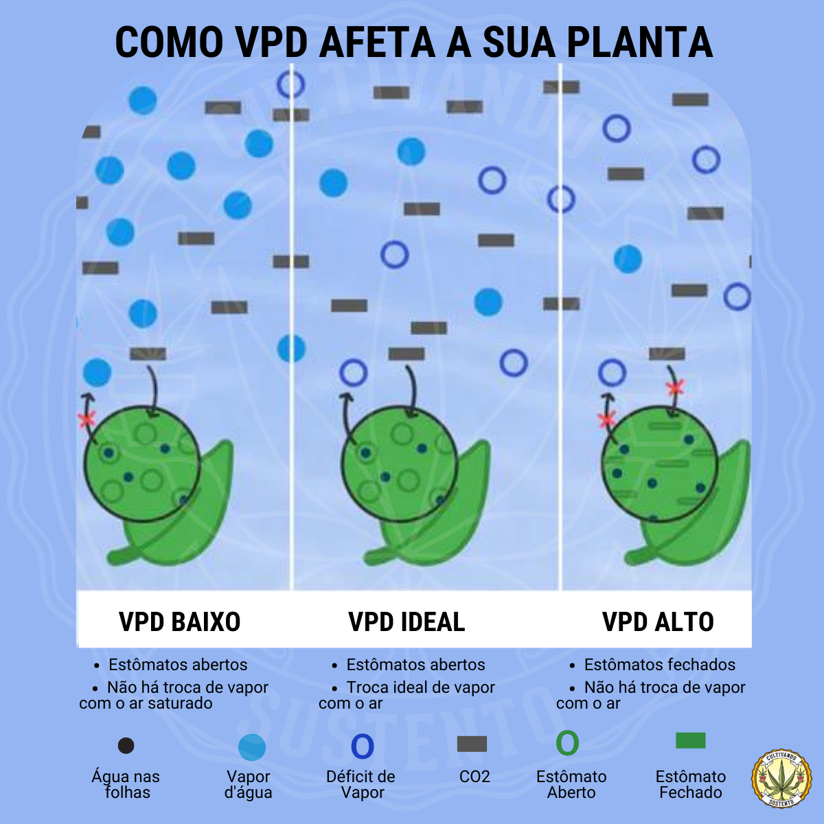 O que é VPD e como pode incluenciar a sua planta? 